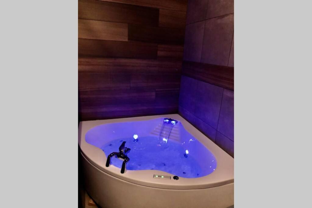 Studio Cocooning Spa, Lit Xxl, Cour Exterieure Le Puy-en-Velay Buitenkant foto